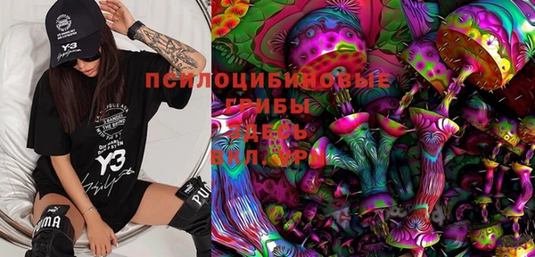 амф Мегион