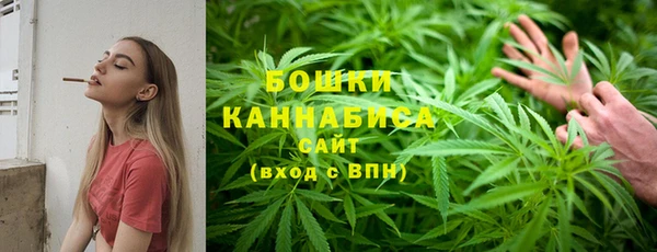 амф Мегион