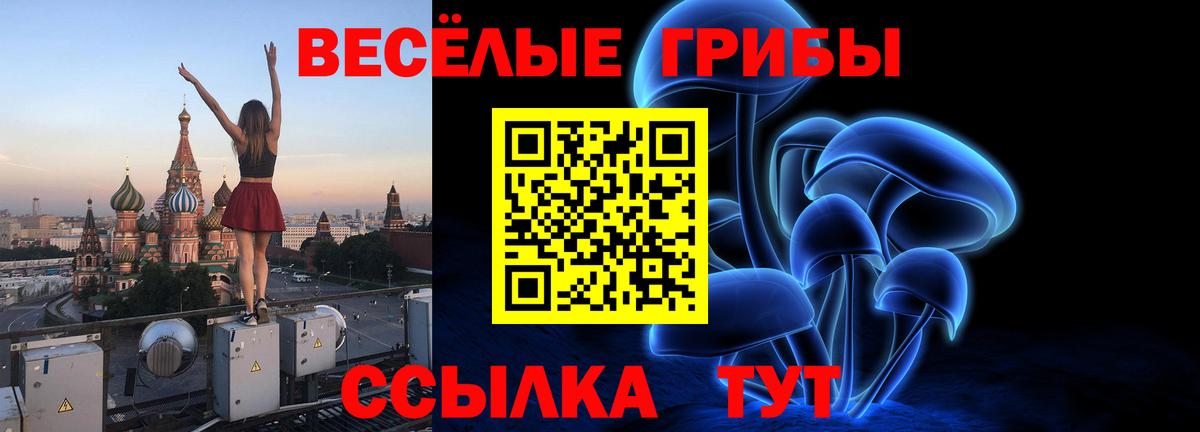 Псилоцибиновые грибы Cubensis  Вход с VPN  Галлюциногенные грибы Psilocybe  Тверь 